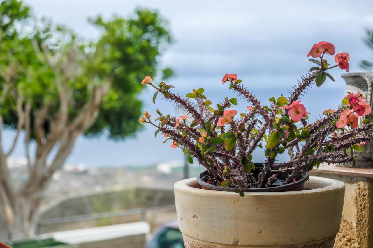 Casa Carmelita Apartment La Guancha ภายนอก รูปภาพ